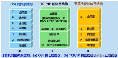 计算机网络与计算机系统服务面试常问知识点解析